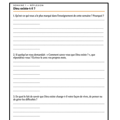 Théologie Systématique : cahier d'activités de 52 semaines pour adultes